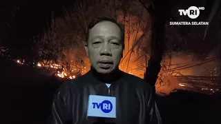 PALEMBANG NEWS - POLICE TO INVESTIGATE CAUSE OF BAMBOO GROVE WILDFIRE