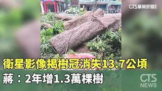Satellite Imagery Reveals 13.7-Hectare Loss in Tree Canopy; Chiang: 13,000 Trees Added in 2 Years...
