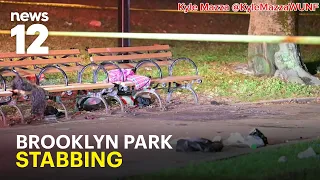 Brooklyn park stabbing leaves woman dead