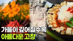 장PD의 AI 여행기: 가을이 깊어질수록 아름다운 고창 [2TV 생생정보] | KBS 261012 방송