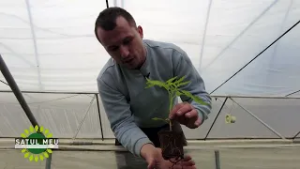 PROMO SATUL MEU, Premieră 1 martie 2026