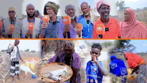 Hay'adda Alraxma Ayaa Biyodhaamis Gaadhsiisay 7 Tuulo Oo Kamida Degaanada Teedsan Waqooyiga Marodi..