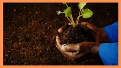Experts call for better soil health to boost Kenya’s food security