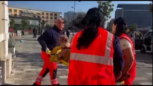 Një endacak i identifikuar si Qirjako Ferti, është gjetur pa ndjenja mëngjesin e sotëm në Fier.