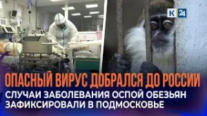 Вирус оспы обезьян обнаружили у двоих мужчин в Подмосковье