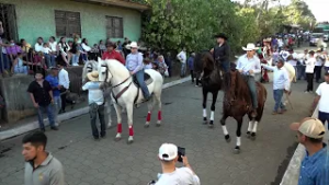 La Concepción celebró sus fiestas patronales con colorido desfile hípico