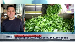 Task force in Ribeirão Preto assesses agribusiness losses after heavy rains