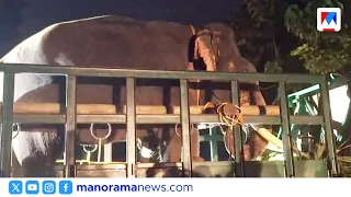 'Mission Makhna' to capture the killer elephant of Aralam | MissionMakhna | wild elephant