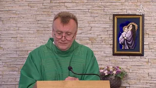 Homilie ze mše svaté 13.9.2026, P. Vítězslav Řehulka