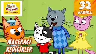 😺Tatlı Kedicikler | Minik Maceracılar İş Başında #11 ✨🥰