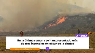 Más de cuatro hectáreas afectadas por incendio en el humedal La Isla | Medio ambiente