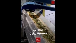 Al-Mamlaka camera on a field tour of an olive press