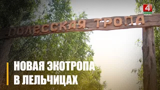 Открытие экотропы состоялось в Лельчицком районе