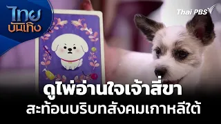 แลโลกเห็นเรา : "Pet Tarot" อ่านใจเจ้าสี่ขา สะท้อนสังคมเกาหลีใต้ | ไทยบันเทิง | 6 ก.ย. 69