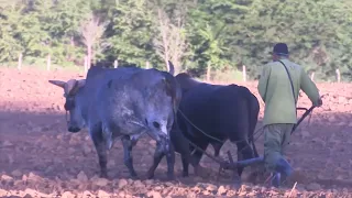 New Land Law now in effect