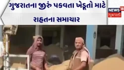 Mehsana News | ગુજરાતના જીરું પકવતા ખેડૂતો માટે રાહતના સમાચાર | Farmers | Cumin | Gujarati News