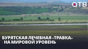 Бурятская лечебная «травка» - на мировой уровень. Развитие отрасли обсудили в Улан-Удэ