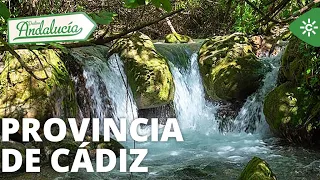 Destination Andalusia | An extensive route through the province of Cadiz