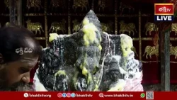 చక్కెర అభిషేకంతో కనువిందు చేసిన గణపయ్య.. | Vigneshwara Alankarana & Abhishekam