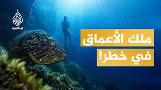 صراع الأعماق | غواصون في مواجهة الجشع
