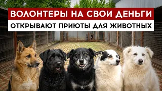 Volunteers open animal shelters with their own money