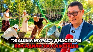 "Green Homeland": Diasporas plant 300 saplings
