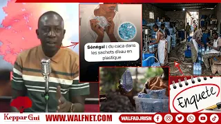 Investigation into plastic bags, clandestine factory dismantled: "a country without oversight," c...