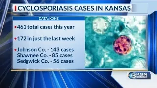 Diarrhea cases from cyclospora explode again in Kansas