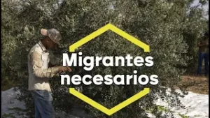 La regularización masiva de migrantes, una medida celebrada por varios sectores - laSexta Noticias
