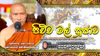 පිච්ච මල් පූජාව Pichcha Mal Pujawa - ඓතිහාසික ස්වර්ණමාලී සෑ රඳුන් අභියස පැවති | 2026-07-25