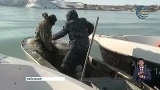 Балықтардың табиғи уылдырық шашуына қолайлы жағдай жасалды