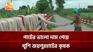 পাটের ভালো দাম পেয়ে খুশি জয়পুরহাটের কৃষক | Mohona TV