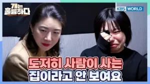 This Place Is Unbelievably Filthy? [Dogs Are Incredible:Ep.12-3] | KBS WORLD TV 260203