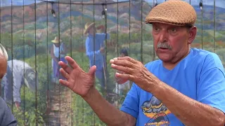 Caminos Culturales - Richard Moore A Short Story Cuba Los Jardines Institute Poor Peoples March