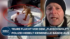 UKRAINE-KRIEG: Korruptes System in der Militärbehörde! So viel kostet Ukrainern die Fahnenflucht