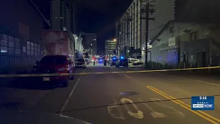 Honolulu police investigate Kona Street shooting
