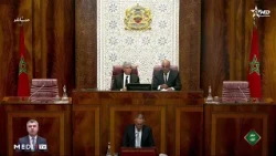 لقجع يعلن كلفة الإصلاح الشامل لمسالك اللحوم والأسماك