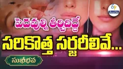 పెదవుల్ని తీర్చిదిద్దే సరికొత్త సర్జరీలివే| Modern Surgeries to Reshape the Lips| Sukhibhava |ETV TG