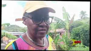 Toddler hospitalized after tragic discovery