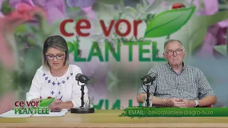 WHAT PLANTS WANT CHRISTINA GHIBU 07/29/2026 P2