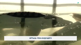Иртыш: река будущего