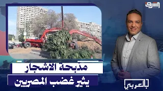 مذبحة الأشجار! 🚨 التناقض الصارخ بين وعود الحكومة وواقع التجريف في الشوارع.