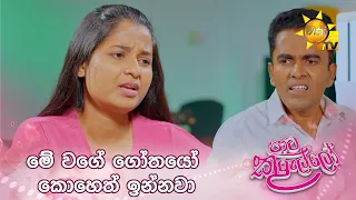 මේ වගේ ගෝතයෝ කොහෙත් ඉන්නවා
