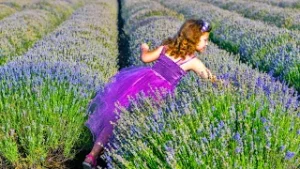 ЧИРПАН - Неповторимо вдъхновение