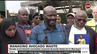 Senate environment committee inspects Avocado factories in Murang'a