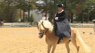 260904_Sidesaddle_Riding