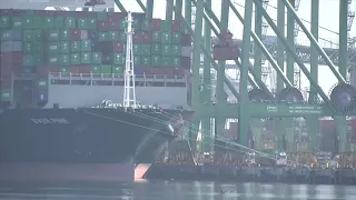 Illinois among half of US states to sue over Trump's new tariffs
