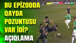 "Nyukasl"la oyunda penalti qərarı düzgün idi? - MÜTƏXƏSSİSDƏN ŞOKEDİCİ RƏY