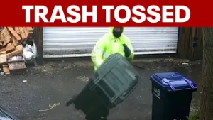 VIDEO shows DC trash worker throwing bins