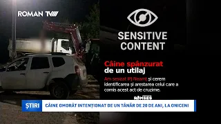 Câine omorât intenționat de un tânăr de 20 de ani, la Oniceni